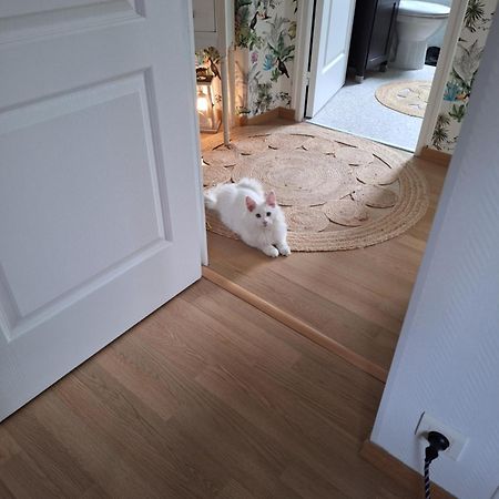 Chambre climatisée au cœur de brive avec téléviseur connecté wifi Netflix Exterior foto