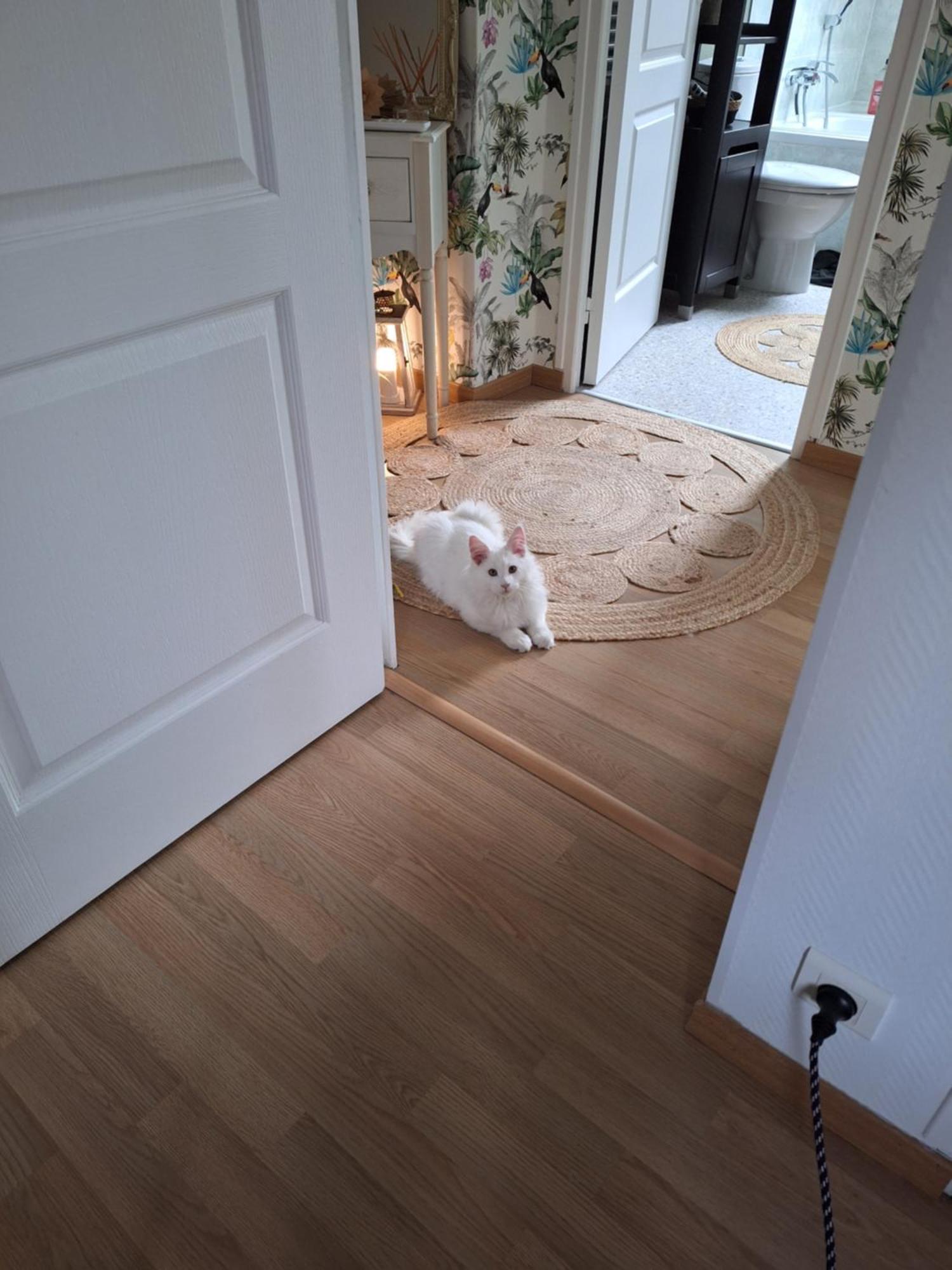 Chambre climatisée au cœur de brive avec téléviseur connecté wifi Netflix Exterior foto